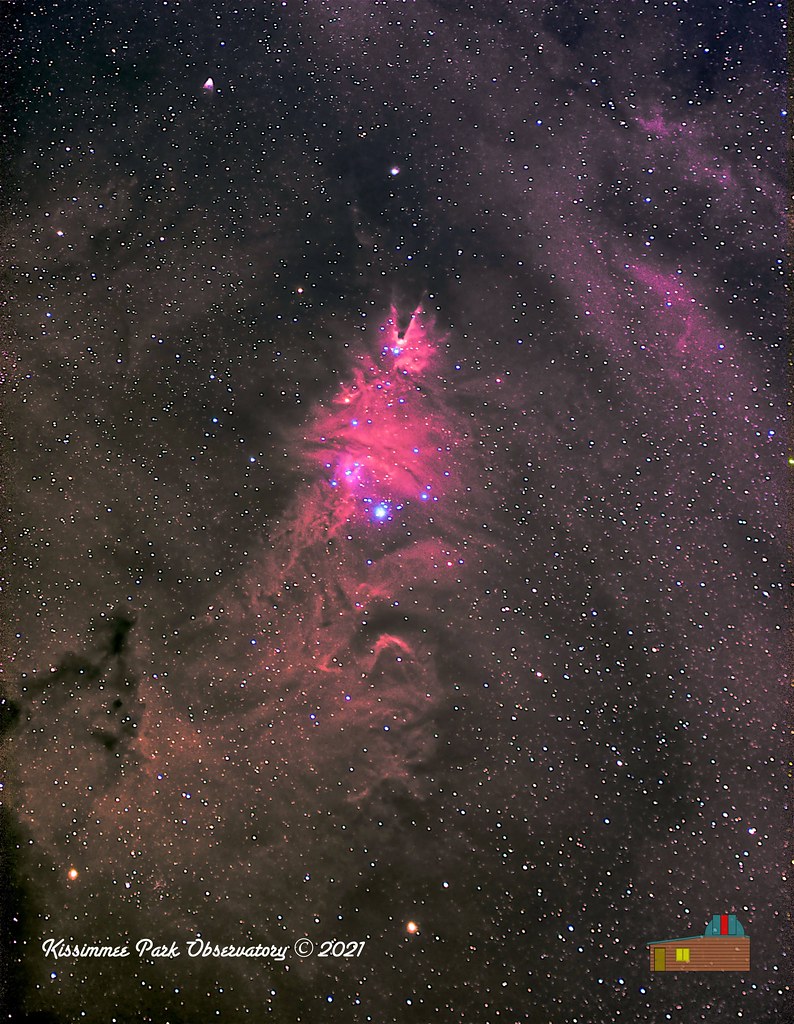 NGC 2264 - The Christmas Tree Cluster